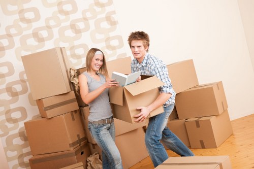 Risk assessment planning before a Hampstead man with van move
